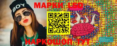 гидропоника Кимры