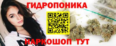 альфа пвп Кингисепп