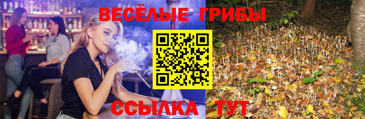 Псилоцибиновые грибы Psilocybe  Вход с VPN  Галлюциногенные грибы Magic Shrooms  Феодосия 